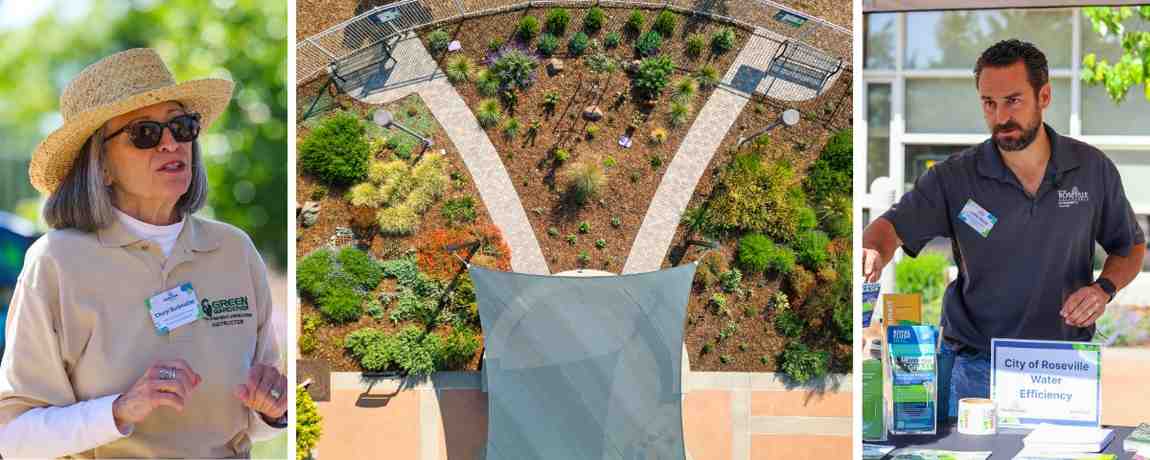 GardenGabcollag